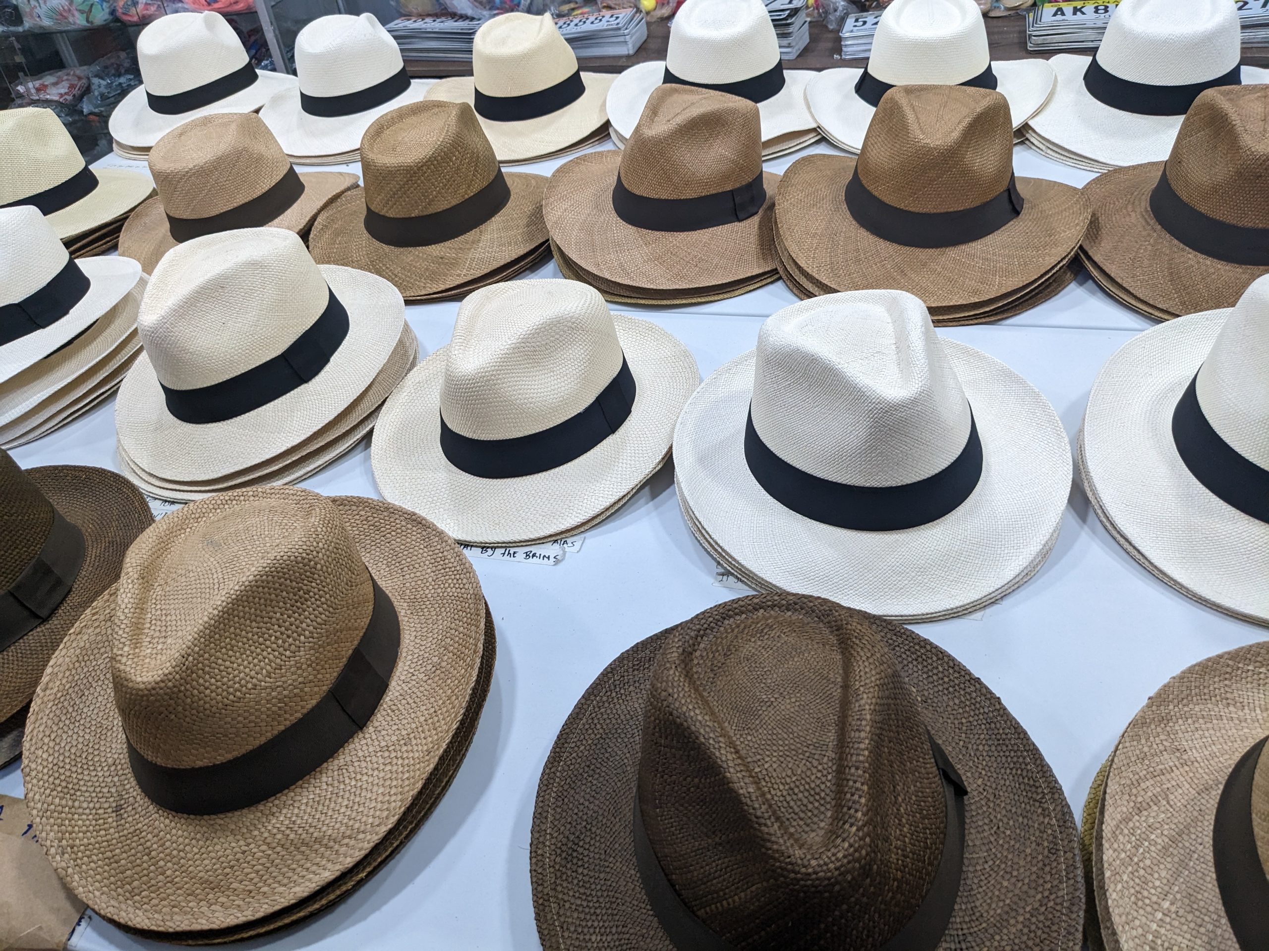 Curious Questions: Do Panama hats actually come from Panama
